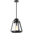 Everett 1-Light 10-in Pendant Matte Black with Clear Glass Sale