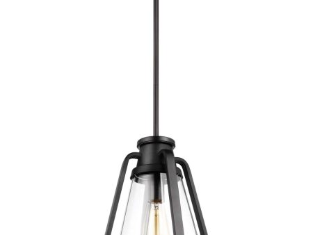 Everett 1-Light 10-in Pendant Matte Black with Clear Glass Sale