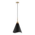 Tango 1-Light Medium Pendant Matte Black with Burnished Brass Discount