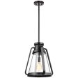 Everett 1-Light 14-in Pendant Matte Black with Clear Glass Fashion