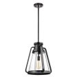 Everett 1-Light 14-in Pendant Matte Black with Clear Glass Fashion