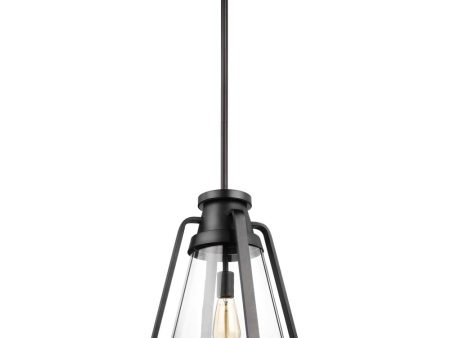 Everett 1-Light 14-in Pendant Matte Black with Clear Glass Fashion