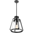 Everett 1-Light 14-in Pendant Matte Black with Clear Glass Fashion