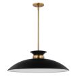 Perkins 1-Light Large Pendant Matte Black with Burnished Brass Sale