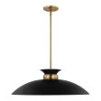 Perkins 1-Light Large Pendant Matte Black with Burnished Brass Sale