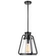 Everett 1-Light 10-in Pendant Matte Black with Clear Glass Sale