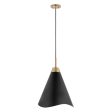 Tango 1-Light Small Pendant Matte Black with Burnished Brass Fashion