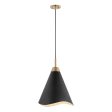 Tango 1-Light Small Pendant Matte Black with Burnished Brass Fashion