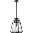 Everett 1-Light 14-in Pendant Matte Black with Clear Glass Fashion